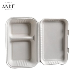 Customizable 2 Compartment Compostable Sugarcane Pulp Lunch Box | Anke Packing