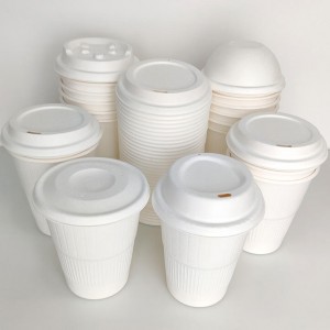 Eco-Friendly 100% Biodegradable Disposable Cup Lids and Cups – Anke Packing