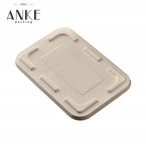 Custom Biodegradable 3 Compartment Takeaway Food Box with Lid | Eco-Friendly Food Packaging