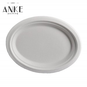 Custom Compostable White Sugarcane Pulp / Bagasse Plate – Eco-friendly and Biodegradable