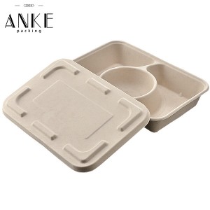 Custom Biodegradable 3 Compartment Takeaway Food Box with Lid | Eco-Friendly Food Packaging